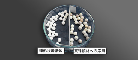 Apatite Bio Ceramic (Nano Freeze Dried Powder, CIM feedstock)